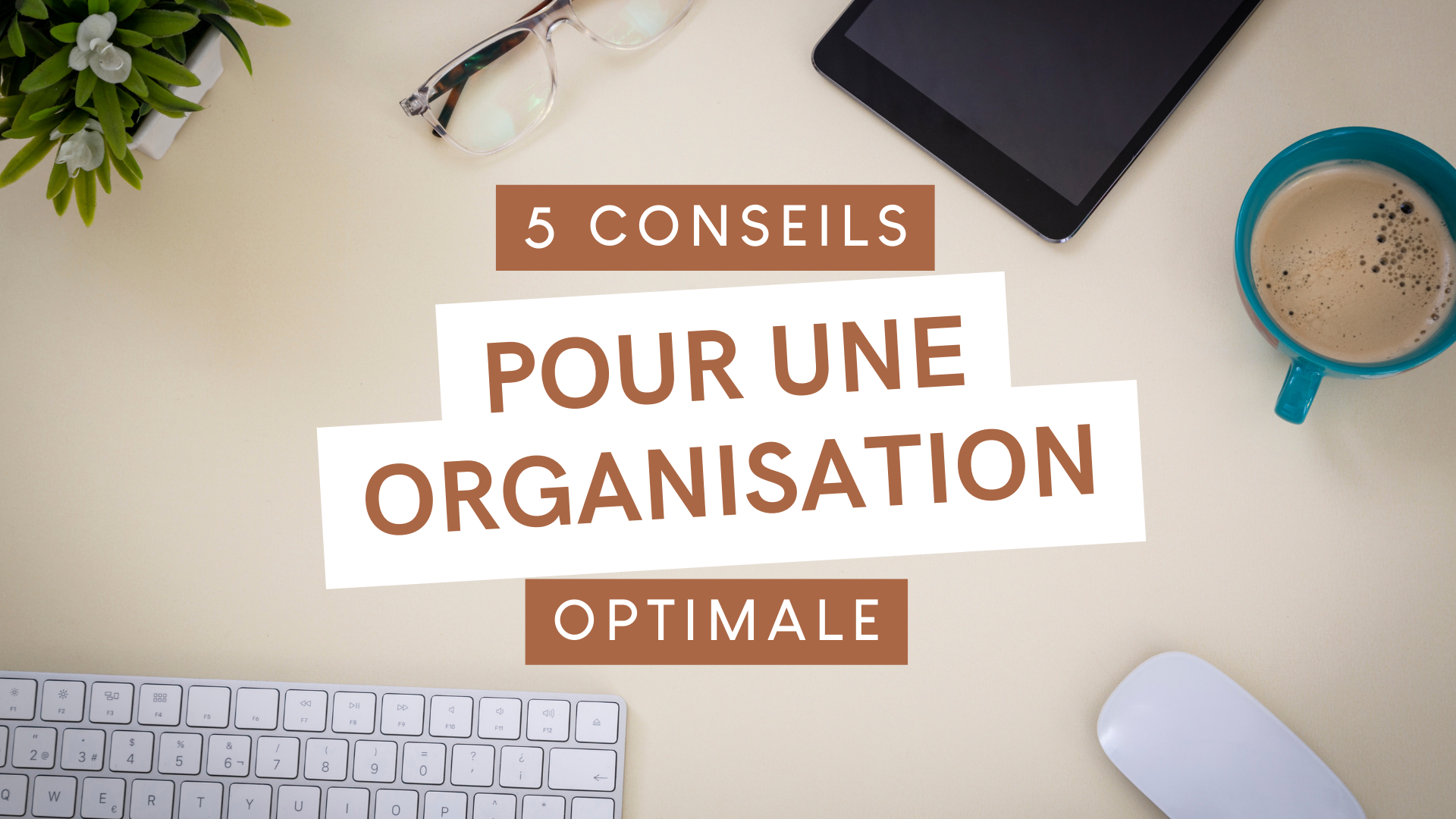 Rangements de cuisines : 5 conseils pour une organisation optimale